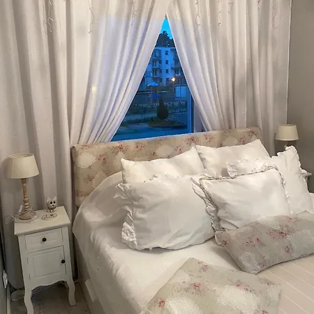 Lavende * دجيفنوفيك