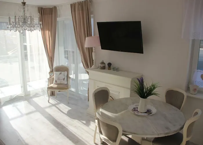 Lavende * Dziwnówek