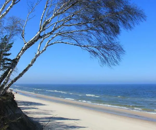 Lavende Apartamento *