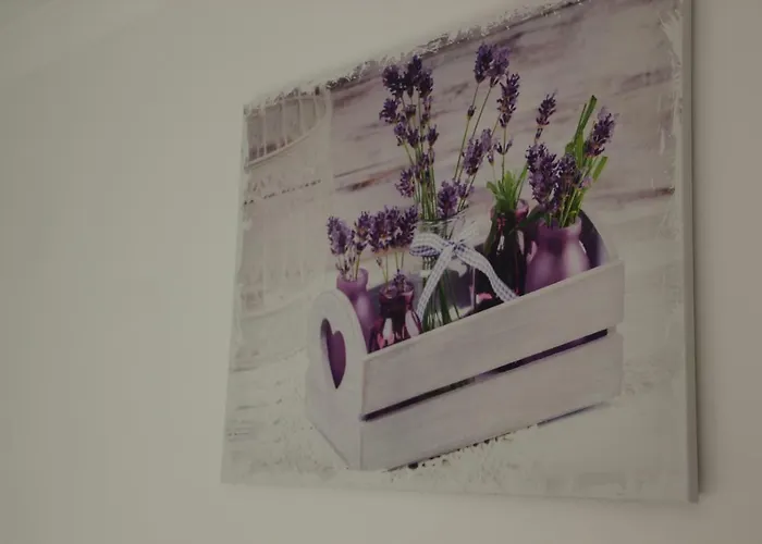 Apartamento Lavende Dziwnówek